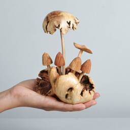 Wooden Mystical Mushroom Figurine, Forest Art, Personalized Statue, Tropical Decor, Gift For Mom - thumbnail 4