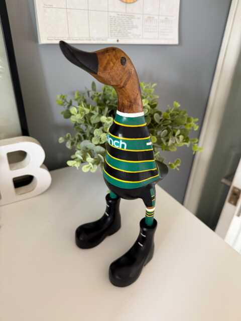 Northampton Saints Rugby - Hand-Painted Wooden Duck - 2025-2026 Design Approx. 25cm - image 1