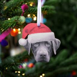 Personalised Pet Christmas Tree Decoration-Pet Photo--Santa Hat Cat Or Dog - thumbnail 2