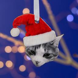 Personalised Pet Christmas Tree Decoration-Pet Photo--Santa Hat Cat Or Dog