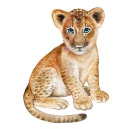 Lion Cub Wall Decals Colorful Kids Room Art - Removable & Easy, Decor, Nursery Hand Painted - thumbnail 1