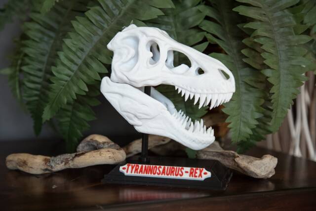 3D Printed T-Rex Skull With Base & Nametag, Dinosaur Fossil Display, Tyrannosaurus Rex Shelf Decor - image 1