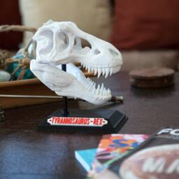 3D Printed T-Rex Skull With Base & Nametag, Dinosaur Fossil Display, Tyrannosaurus Rex Shelf Decor - thumbnail 2