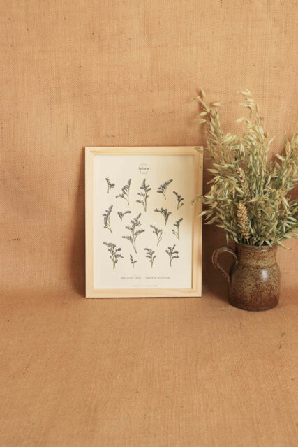 Herbarium Of Dried Flowers Blue Immortal N023 - image 1