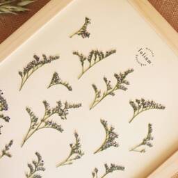 Herbarium Of Dried Flowers Blue Immortal N023 - thumbnail 2