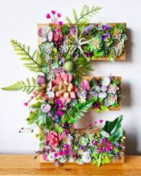Faux Succulent Wall Letter Plant Decor Sign - Up To 12 - thumbnail 1