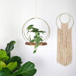 Modern Wooden Plant Hanger With Gold Hoops - thumbnail 2