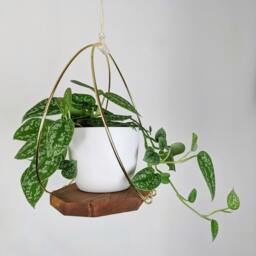 Modern Wooden Plant Hanger With Gold Hoops - thumbnail 3