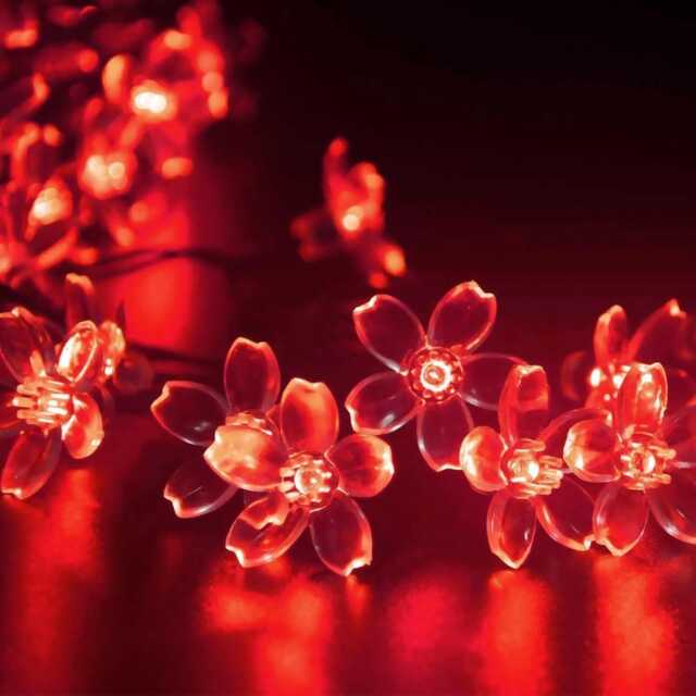 Sakura Solar String Lights, Waterproof Fairy Garden Decor - image 1