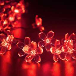 Sakura Solar String Lights, Waterproof Fairy Garden Decor - thumbnail 1