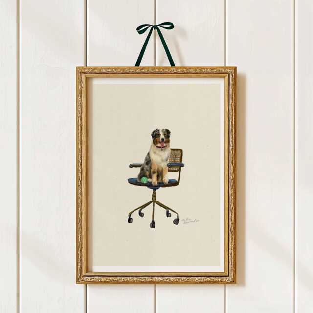 Australian Shepherd Print - Dogs On Chairs Collection 5x7 Inches/A5 A4 A3 - image 1