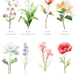 Personalised Birth Flower Art Flowers Birthday Gift Home Decor Wall Star Sign Meaning Mothers Day Family - thumbnail 3