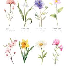 Personalised Birth Flower Art Flowers Birthday Gift Home Decor Wall Star Sign Meaning Mothers Day Family - thumbnail 2