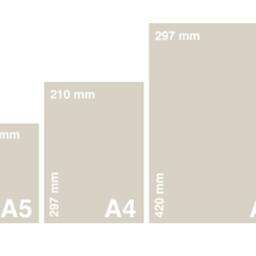 Born To Be Wild Print, Printed Onto 250Gsm Thick Matte Finish Premium Paper - Perfect For Baby & Children's Rooms - thumbnail 2