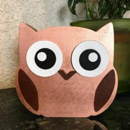Wooden Animal Decor, Owl Sign, Home Wall Shelf Kids Room Baby Gift, Animals, Nursery Art - thumbnail 3