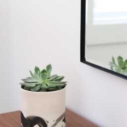 Splatter Planter - Summer Sweet - thumbnail 3