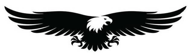 Large 36 X 11 Hawk Eagle Vinyl Car Bonnet Side Sticker Decal Wall Art Animal Safari Jungle Graphic Silhouette
