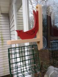 Window Bird Feeder, Bird, Cardinal, Suet Feeder, Window Feeder, Bird Feeder, Bird, Birds, Bird Watcher, Suet, Bird Food Holder, Bird Seed Holder, Sf1