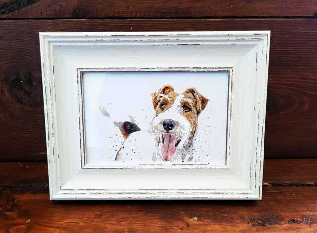 Wire Fox Terrier Ii Print 17x12cm - White Rustic Frame - Playful Breed Wall Art, Gift For Lovers - image 1