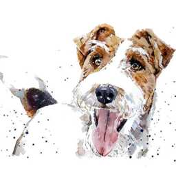 Wire Fox Terrier Ii Print 17x12cm - White Rustic Frame - Playful Breed Wall Art, Gift For Lovers - thumbnail 2