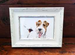 Wire Fox Terrier Ii Print 17x12cm - White Rustic Frame - Playful Breed Wall Art, Gift For Lovers - thumbnail 1