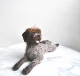 Custom Wirehaired Pointing Griffon, Needle Felted Dog Deutsch Drahthaar, German Shorthaired Pointer Or Any Other Breed