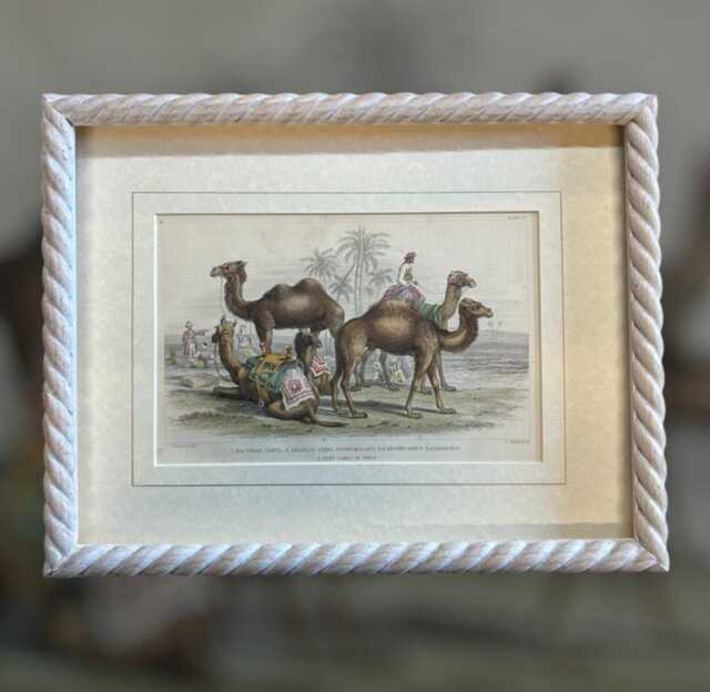 Rope Twist Hand Painted Picture Frame - Custom Wooden Photo - image 1
