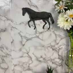 Horse Equine Pony Brushed Steel Wall Art Modern Home Design Present Gift Idea - thumbnail 2