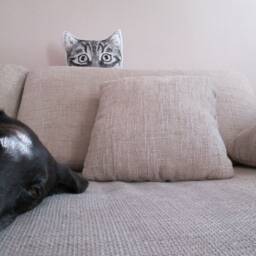 Hand-Painted Peekaboo Cat Pillow, Funny Tabby Home Decor - thumbnail 3