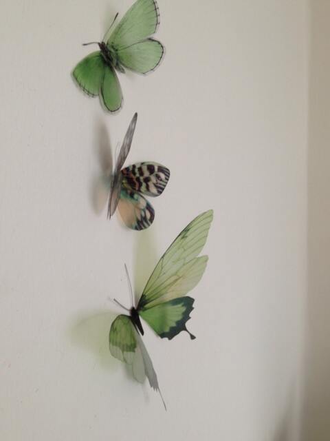Green 3D Butterfly Wall Art Tropical Home Decor, Set Of 3 - image 1