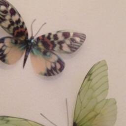 Green 3D Butterfly Wall Art Tropical Home Decor, Set Of 3 - thumbnail 3