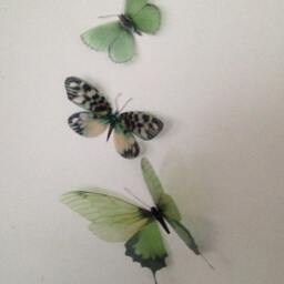 Green 3D Butterfly Wall Art Tropical Home Decor, Set Of 3 - thumbnail 2
