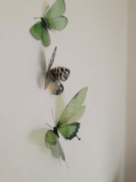 Green 3D Butterfly Wall Art Tropical Home Decor, Set Of 3 - thumbnail 1