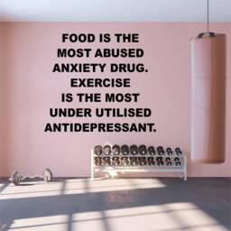 Food & Exercise - 0144, Wall Art Decal, Transfer, Mural, Sticker, 75 Colours, 5 Sizes, Interior Or Exterior Use , Easy To Apply