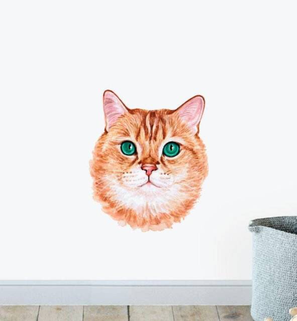 Scottish Straight Cat Wall Sticker Decal - Dogs & Pets Stickers, Art, Decals, Kids Animals Decals
