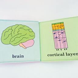 Baby's First Neuroscience Book - thumbnail 3