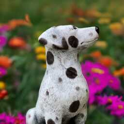 Funny Dalmatian Statue Concrete Dog Figurine Cement Puppy Sculpture Stone Figure Outdoor Garden Decor Dog Lover Gift Yard Art Ornament - thumbnail 3