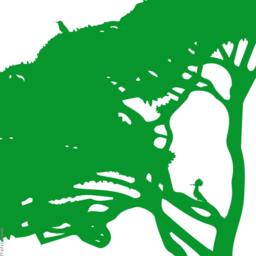 Pine Tree Wall Decal Mediterranean Nursery Decor - thumbnail 3