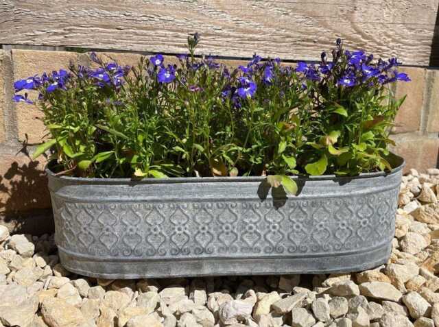 Galvanised Zinc Floral Metal Planter - Garden Flower Pots Trough Set Of 3 Or 1 - image 1