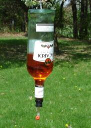 Hummingbird Feeder From Recycled Bacardi Bottle