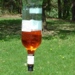 Hummingbird Feeder From Recycled Bacardi Bottle - thumbnail 2