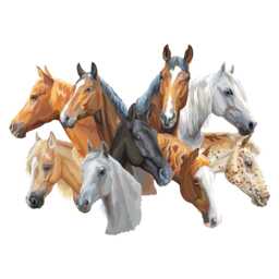 Horse Wall Sticker - 9 Horses Art - thumbnail 3