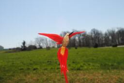 36-224 Avenurine Hummingbird