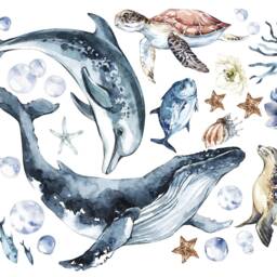 Ocean Animal Wall Decals For Kids - Dolphin, Whale, Turtle Stickers, Peel & Stick Art - thumbnail 4