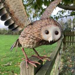 Coloured Metal Flying Owl Bird Statue Garden Ornament - thumbnail 2