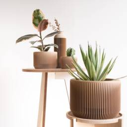 Large Indoor Planter - Praha Wood For Green Plant Cactus & Succulent Original Gift - thumbnail 3