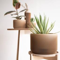 Large Indoor Planter - Praha Wood For Green Plant Cactus & Succulent Original Gift - thumbnail 2
