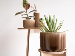 Large Indoor Planter - Praha Wood For Green Plant Cactus & Succulent Original Gift - thumbnail 1