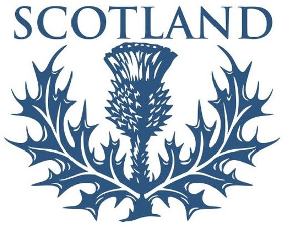 Scotland Thistle Decal Car Sticker Vinyl Wall Art Bonnet Side Van Graphic Door Motorhome Campervan Caravan