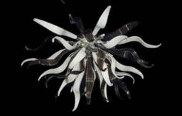 Modern Murano Glass Ceiling Light, Chandelier For Small Room, Light Ceiling, Art, Italian Lighting - thumbnail 1